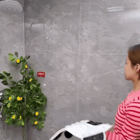 Thumbnail for 2 Pcs Shower Foot & Back Scrubber